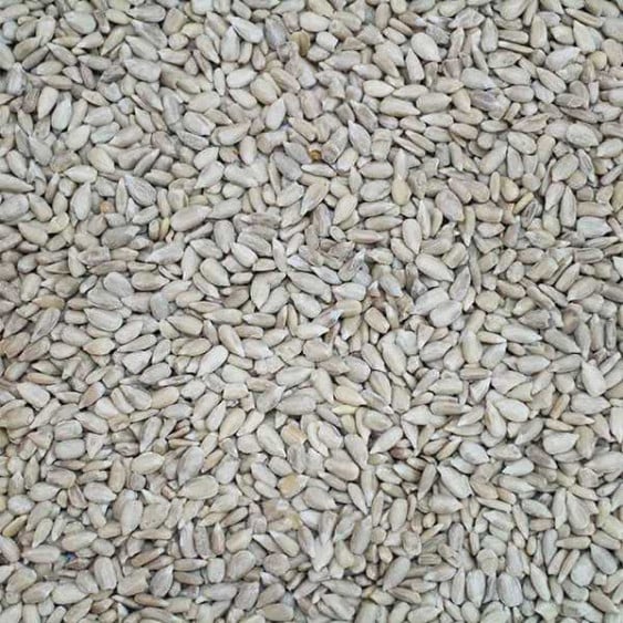 Sunflower Hearts 1KG Bag