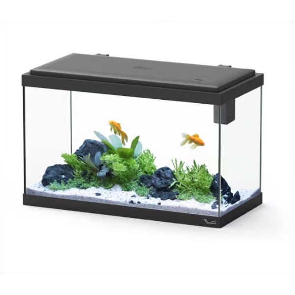 Explorer Vienna 42L Aquarium Black