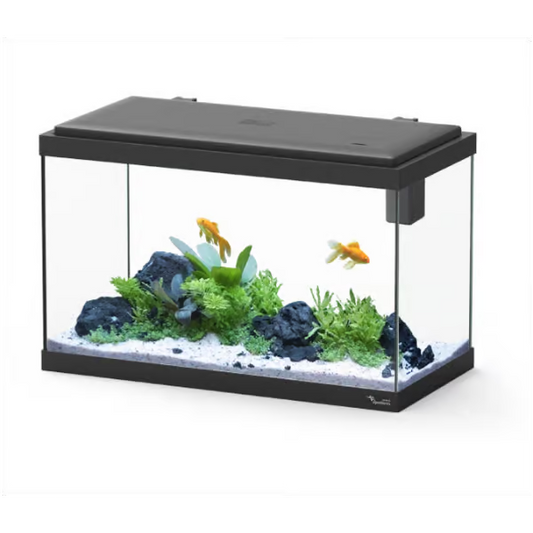 Explorer Vienna 42L Aquarium Black