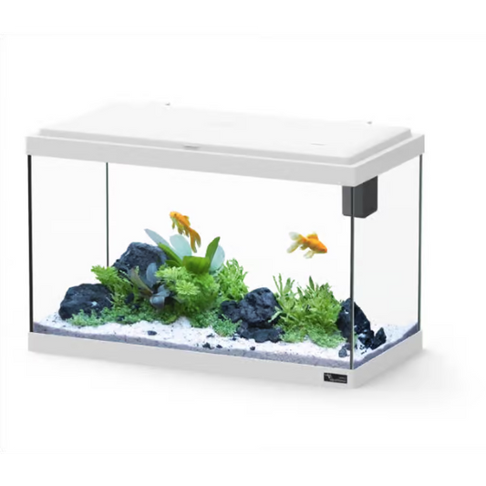 Explorer Vienna 42L Aquarium White
