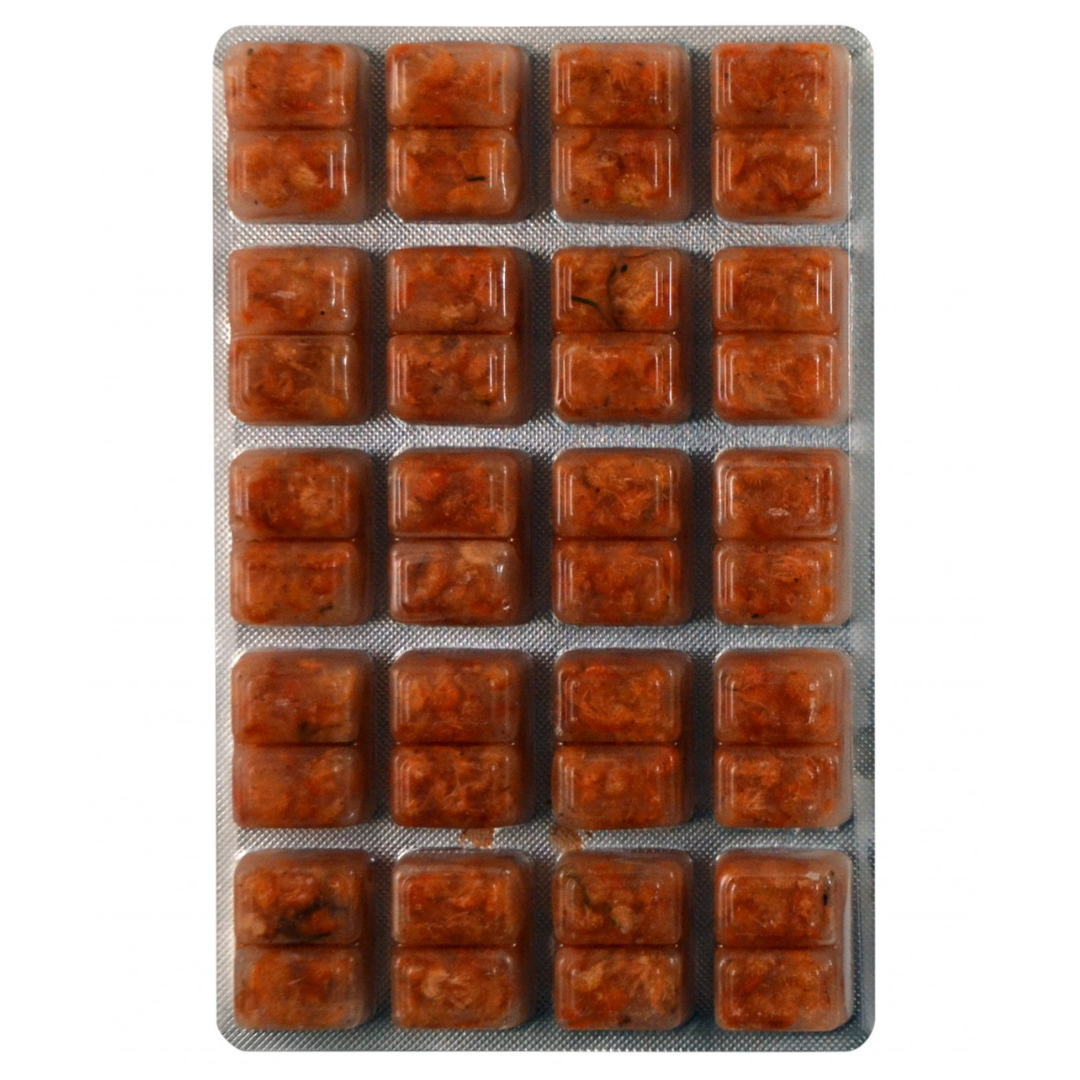 Gammarus Frozen Food 100g Blister Pack