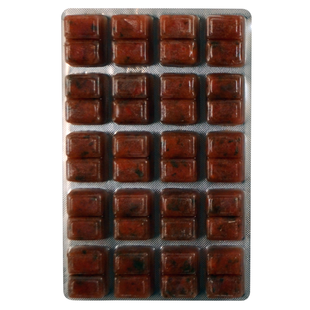 Discus Food Boost Red Colour Frozen Food 100g Blister Pack