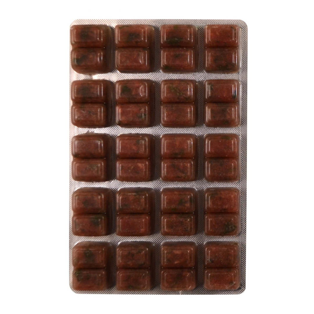 Discus Food With Garlic Frozen Food 100g Blister Pack