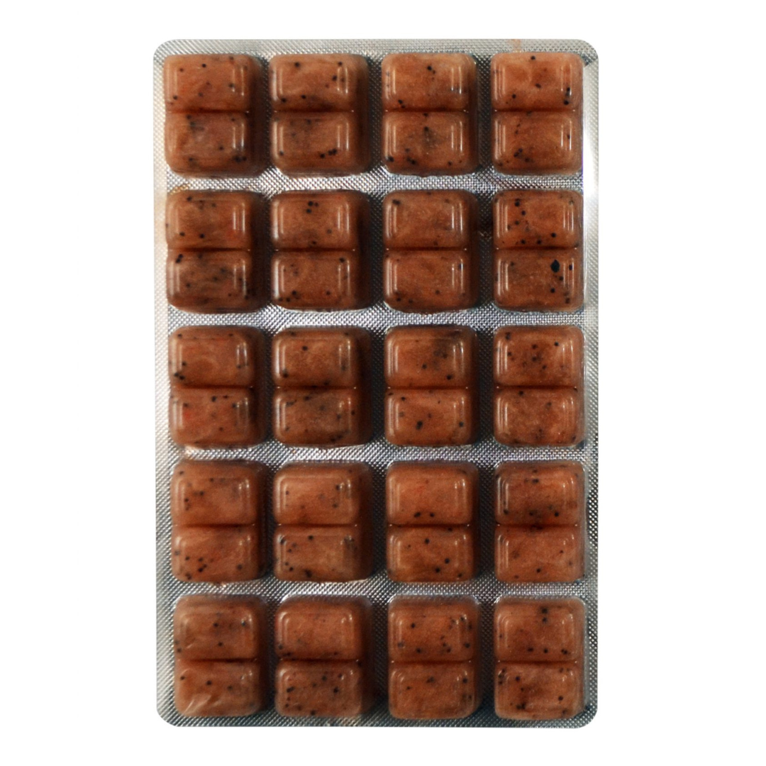 Krill Pacifica Frozen Food 100g Blister Pack