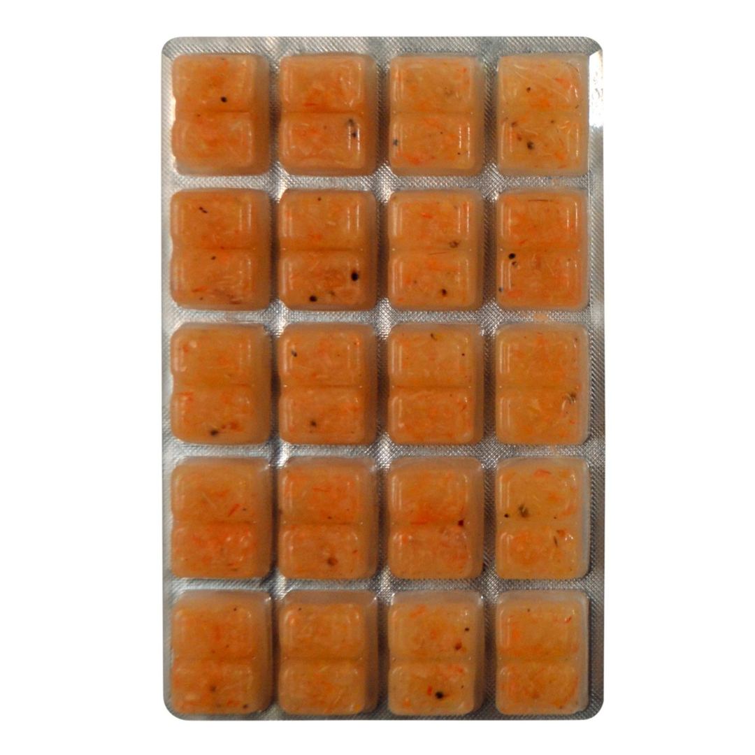 Krill Superba Frozen Food 100g Blister Pack