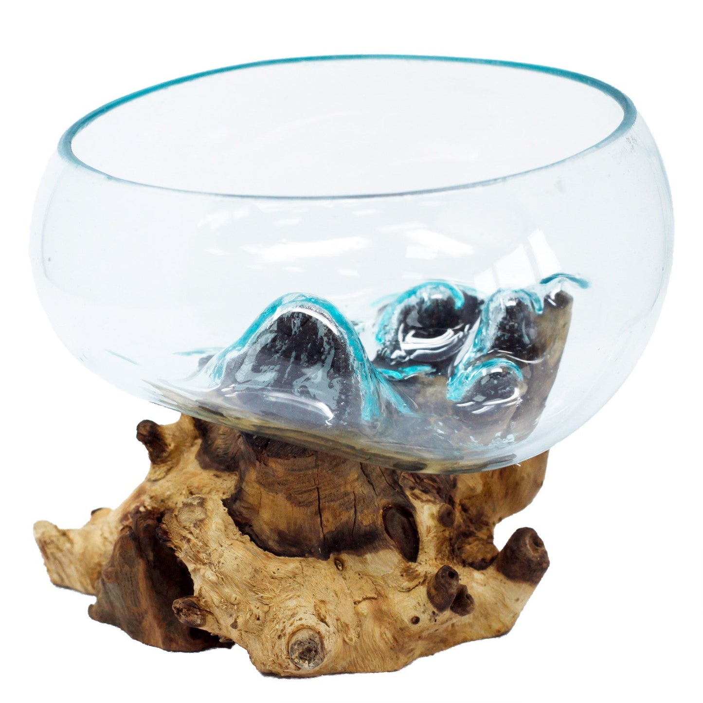 Recycled Open Glass Terrarium on Gamal Root