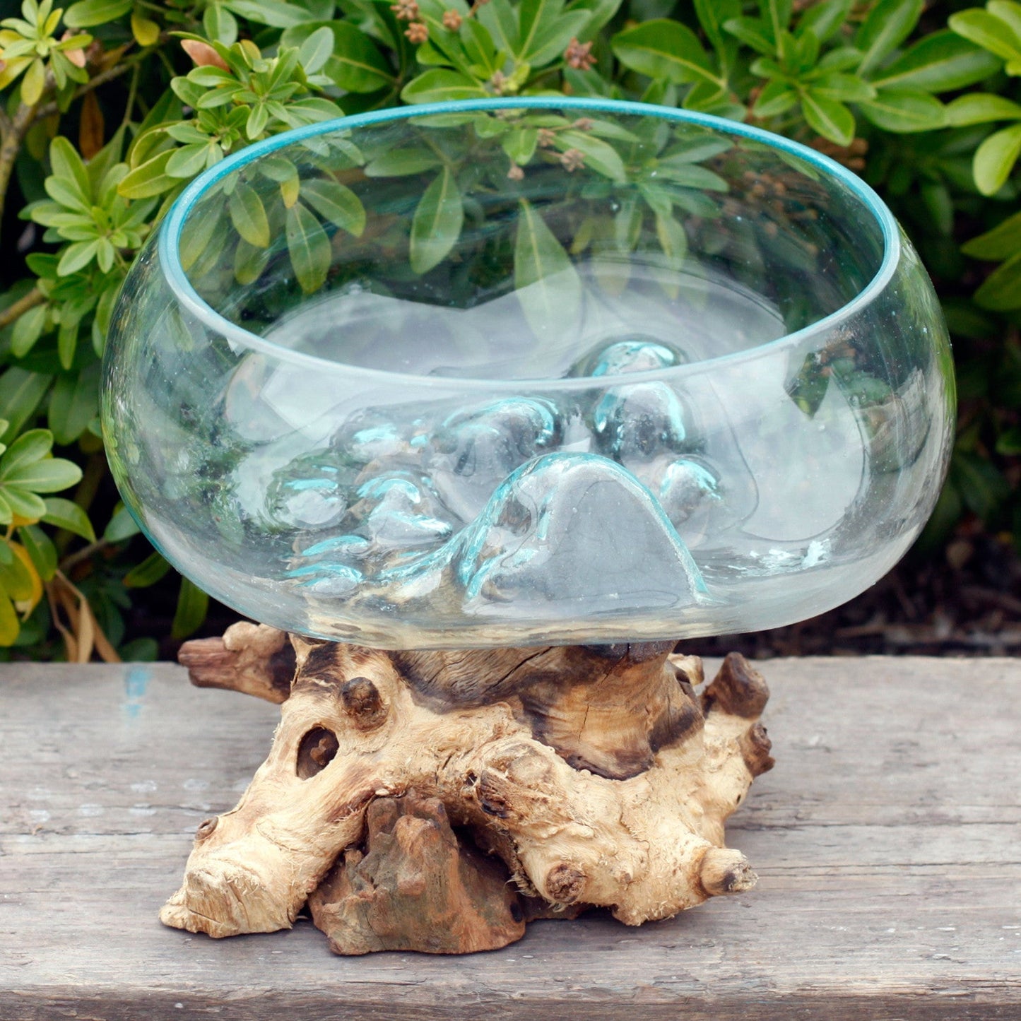 Recycled Open Glass Terrarium on Gamal Root