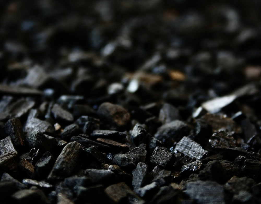 Terrarium Activated Carbon/Charcoal