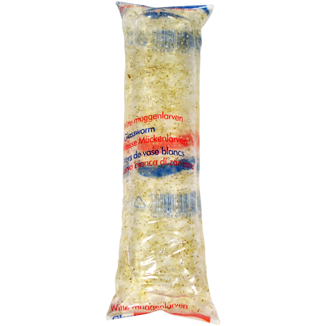 White mosquito “Glassworm” Live Food 100ml