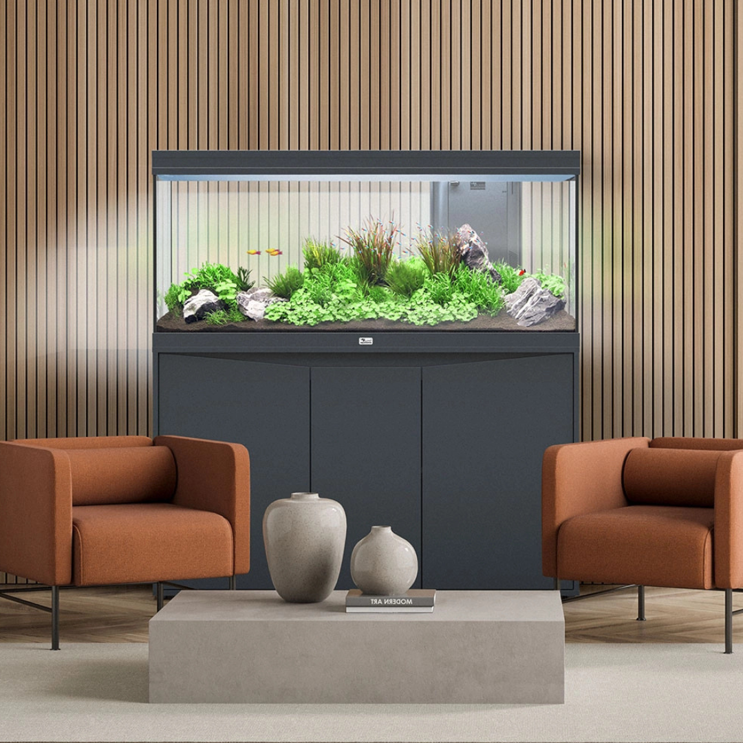 Aquariums – Snuffle and Swim