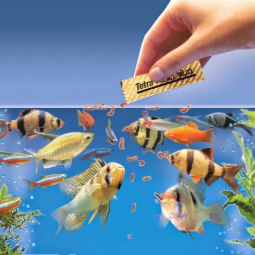 Fish Foods – Snuffle and Swim