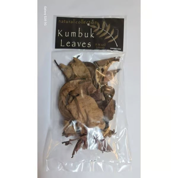 Natural Collection Kumbuk Leaves