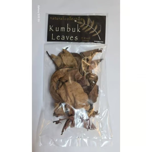 Natural Collection Kumbuk Leaves