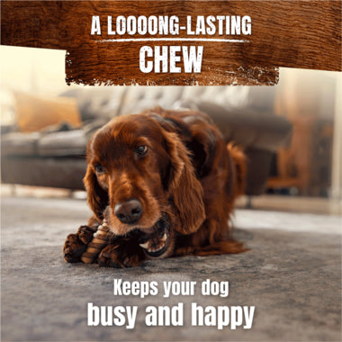 Adventuros Wild Chew Small Venison Rawhide Free Dog Treat