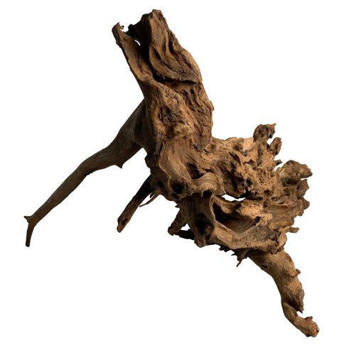 Mopani Wood Jumbo 50-60cm