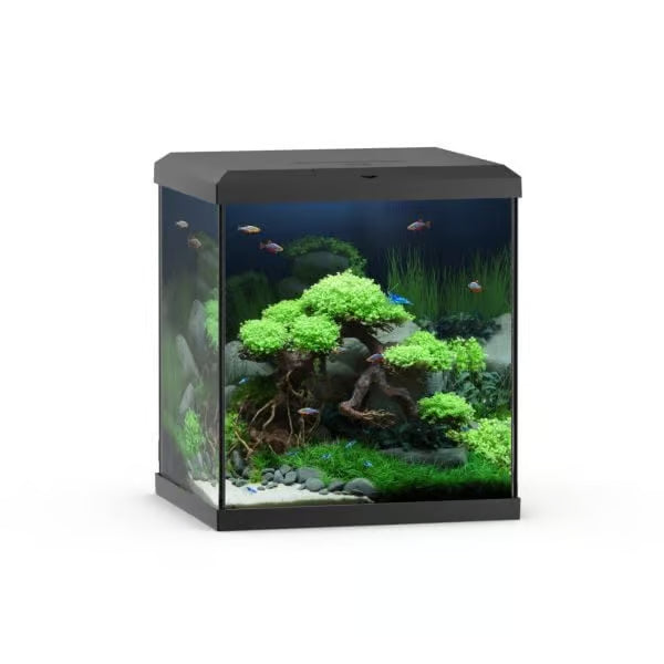 Juwel Vio Cube 54 BLACK Aquarium