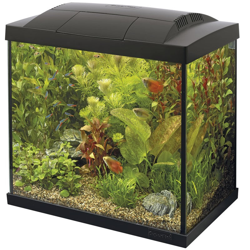 Superfish Start 50 Tropical Kit Black