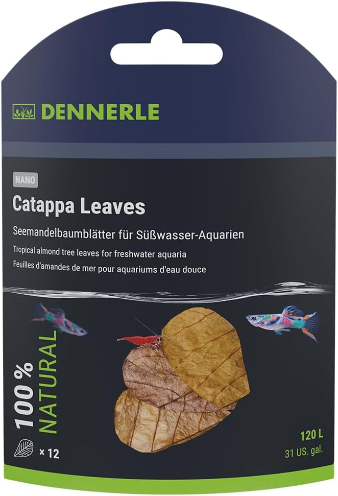 Dennerle Nano Catappa Leaves x12