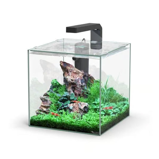 Kubus 10L Aquarium