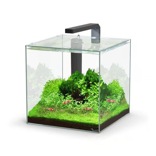 Kubus 22L Aquarium