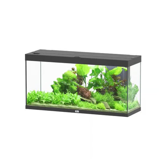Splendid 120 Aquarium Black (TANK ONLY)