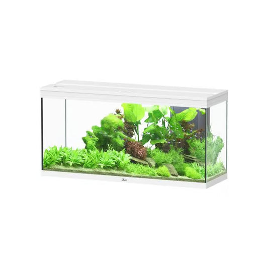 Splendid 120 Aquarium White (TANK ONLY)