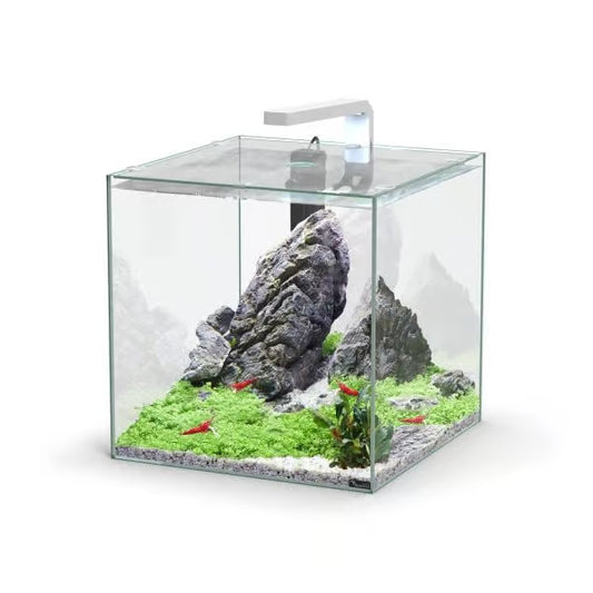 Kubus 33L Aquarium