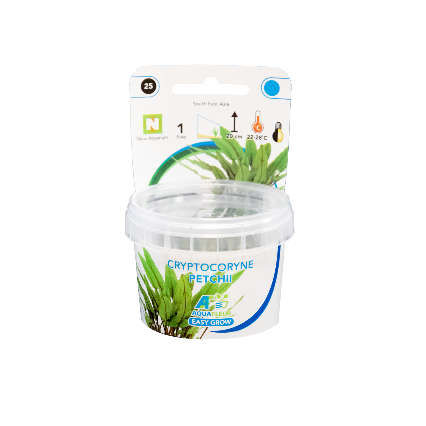 Cryptocoryne Petchii - Easy Grow