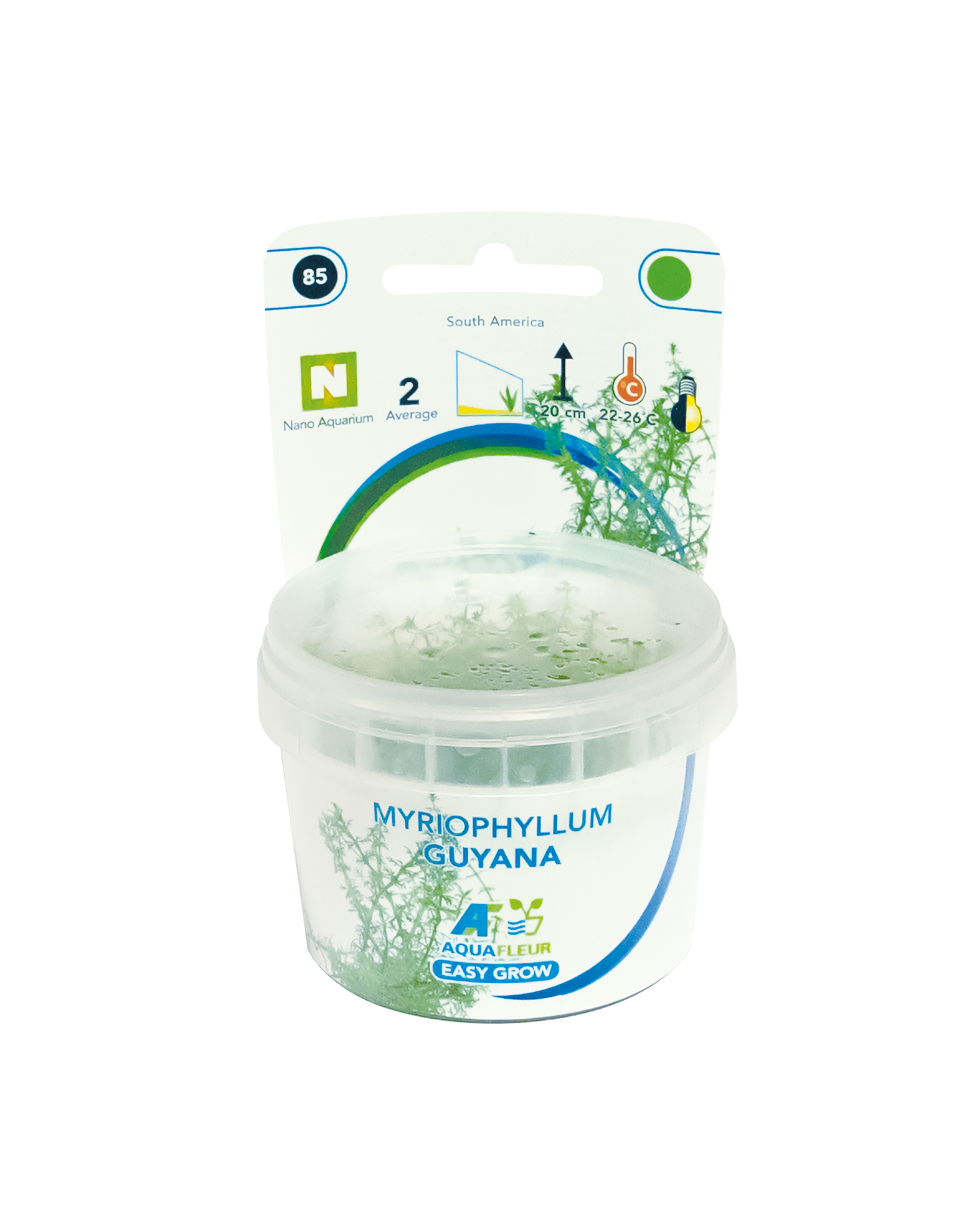 Myriophyllum Guyana - Easy Grow