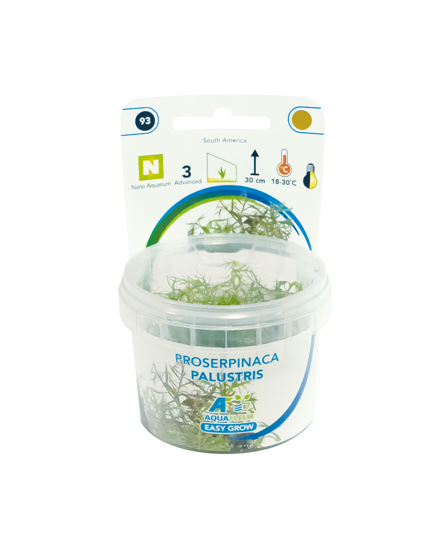 Proserpinaca Palastris - Easy Grow