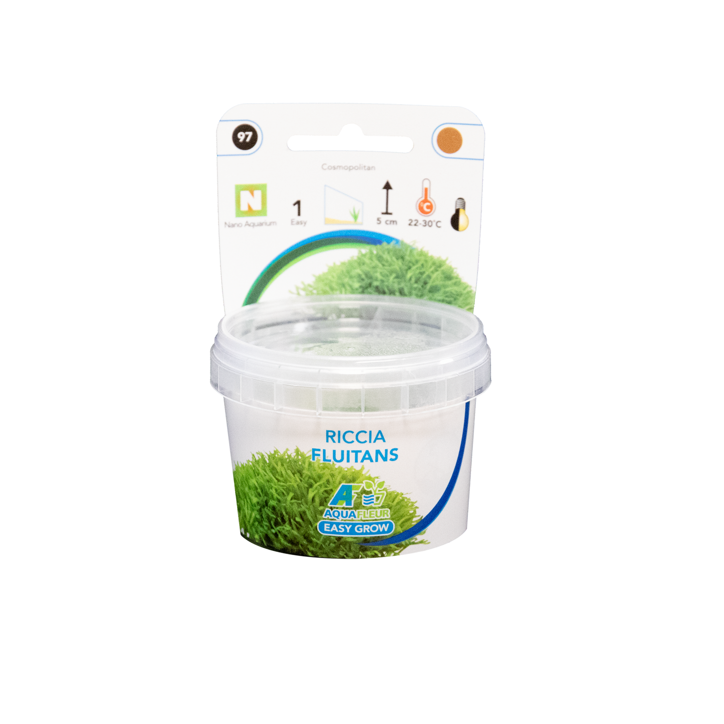 Riccia Fluitans - Easy Grow