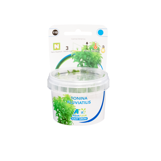 Tonina Fluviatilis - Easy Grow