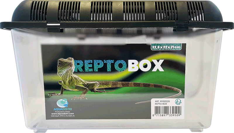 Repto Box (Various Sizes)