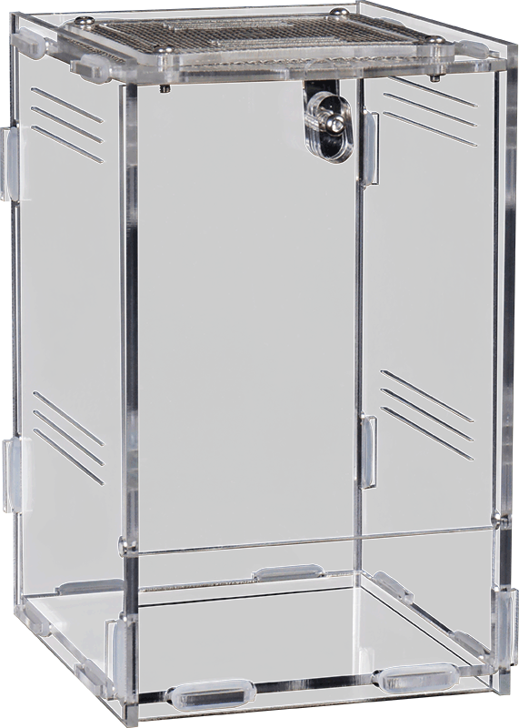 Repto Terra Clear (Various Sizes)