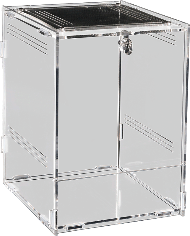 Repto Terra Clear (Various Sizes)