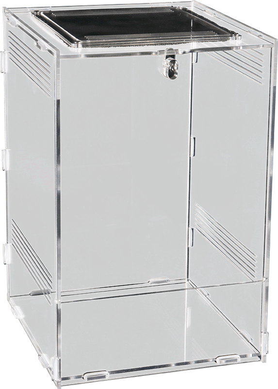 Repto Terra Clear (Various Sizes)