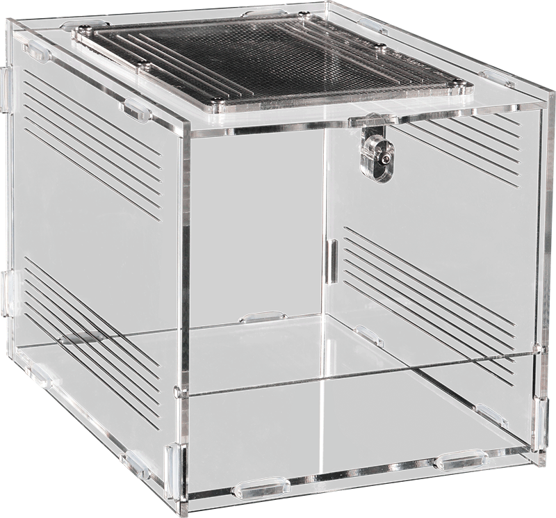 Repto Terra Clear (Various Sizes)