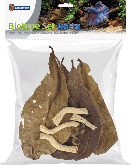Biotope Set Betta Botanicals