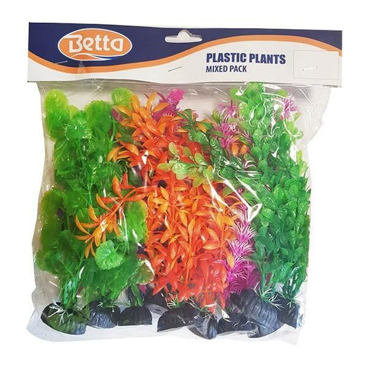 Betta Budget Mixed Size Plants 10pcs