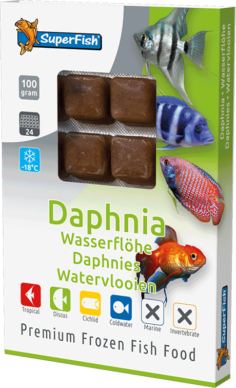 Superfish Daphnia 100g