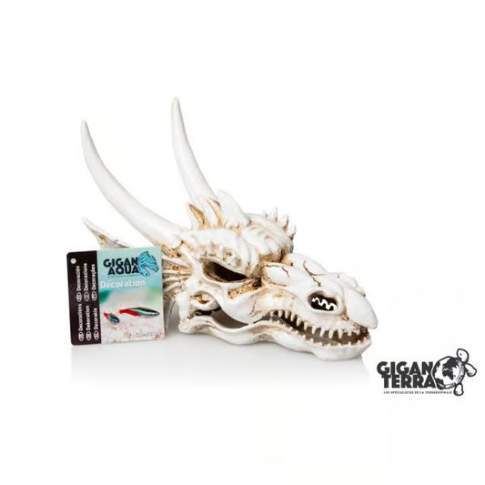 Dragon 720 - 19.5 x 14.8 x 13.5 cm