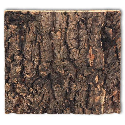 Repti Planet Cork Background fits 20 x 20cm Viv