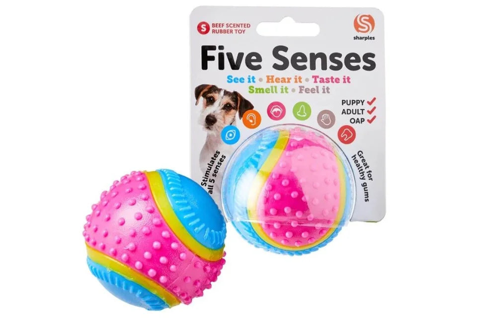 Five Senses Sensory Ball 6.35cm