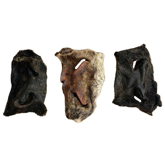 Hairy Beef Snouts - Single