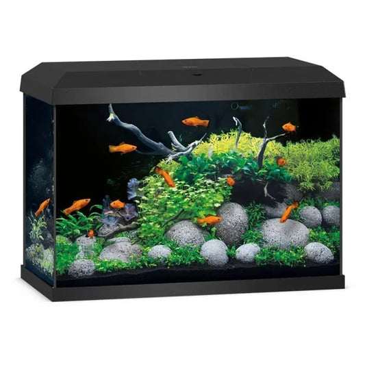 JUWEL PRIMO 70 2.0 BLACK-AQUA