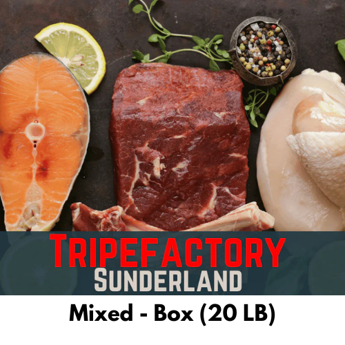 Tripe Factory - Mixed Tray (20 LB)