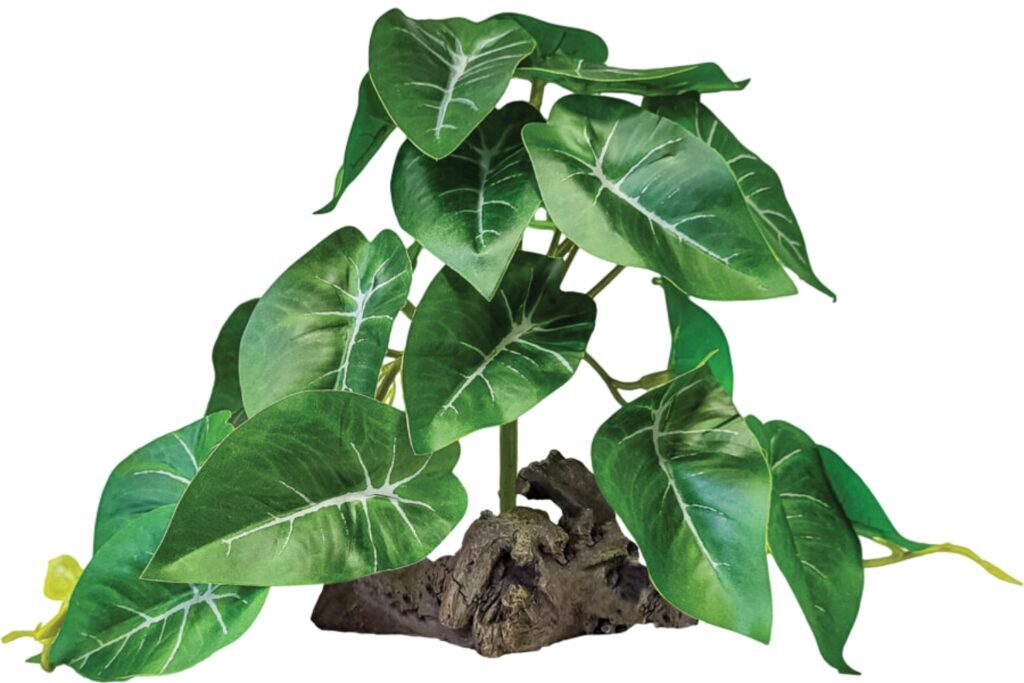 Repto Plant on Deco (Various Types)
