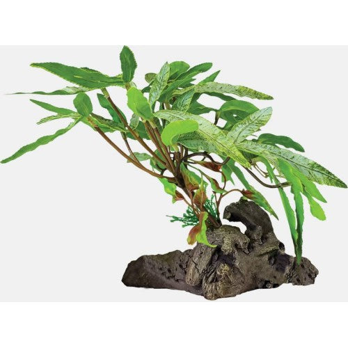 Repto Plant on Deco (Various Types)