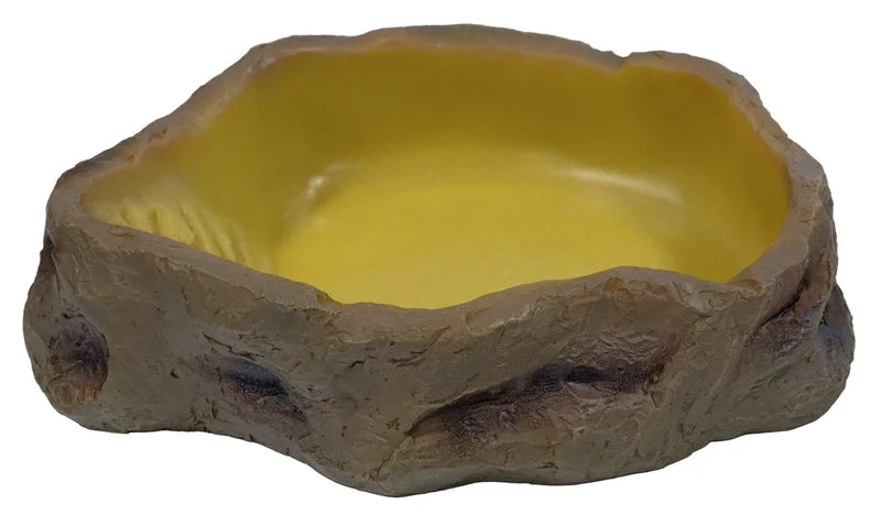 Repto Deco Water Dish (Various types)