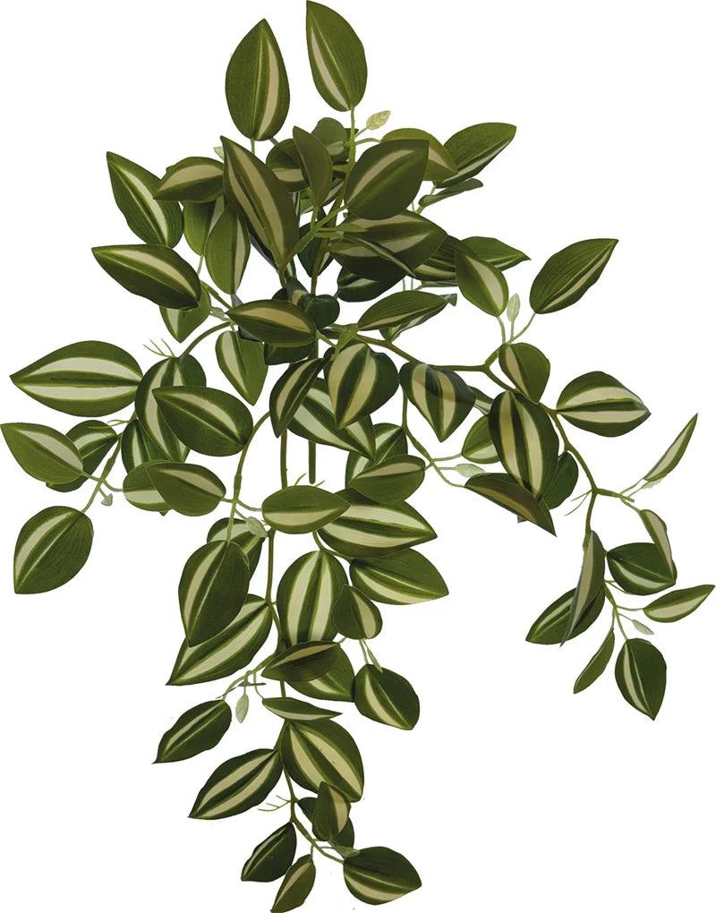 Repto Plant Hanging (Various Types)